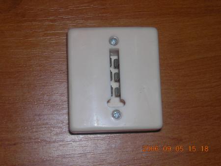 fiche telephone femelle t